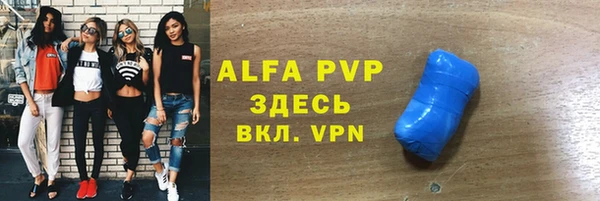 индика Липки